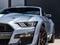 2022 Ford Mustang Shelby GT500