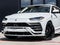 2022 Lamborghini Urus Base