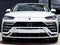 2022 Lamborghini Urus Base
