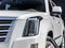 2019 Cadillac Escalade Platinum Edition