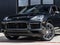 2023 Porsche Cayenne Cayenne Platinum Edition (MY23)