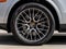 2021 Porsche Cayenne Cayenne